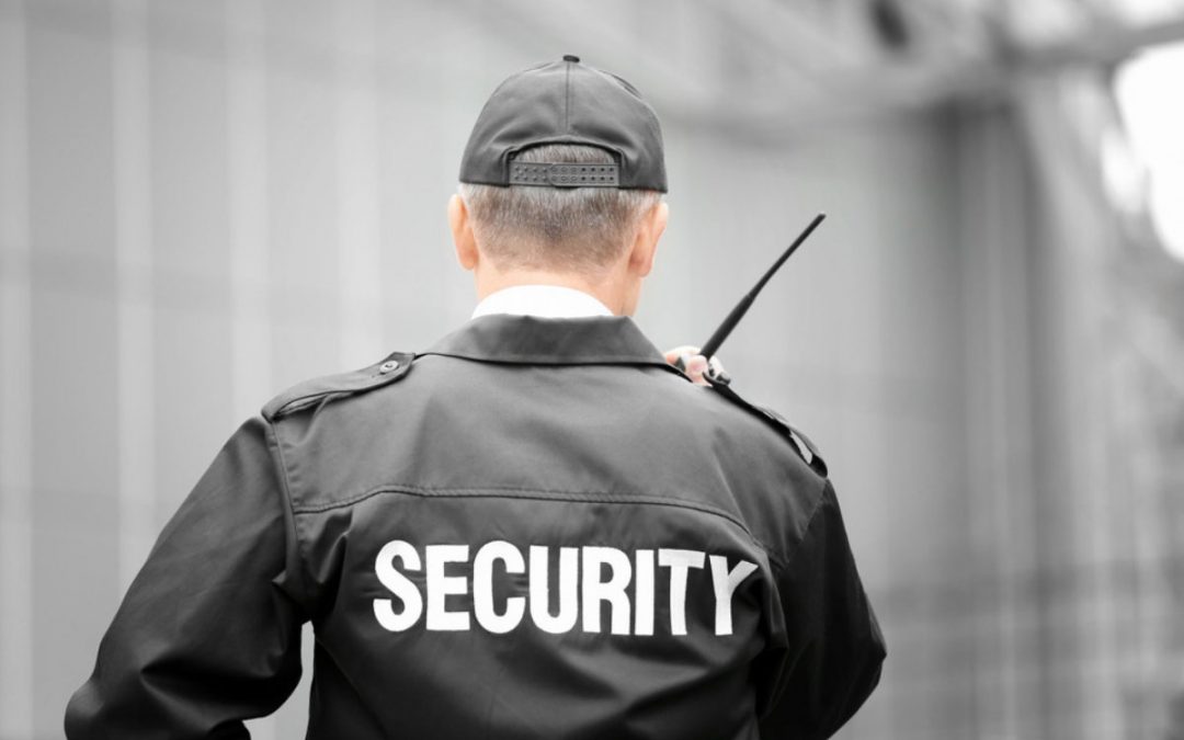 Inspector securitate